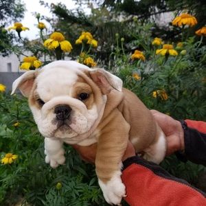 Meet your Posher, Alisha